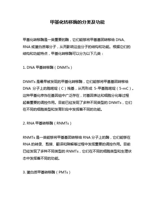甲基化转移酶的分类及功能