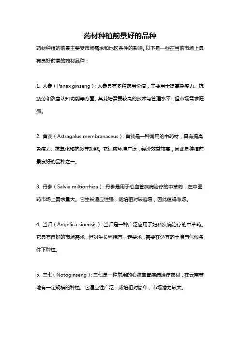 药材种植前景好的品种
