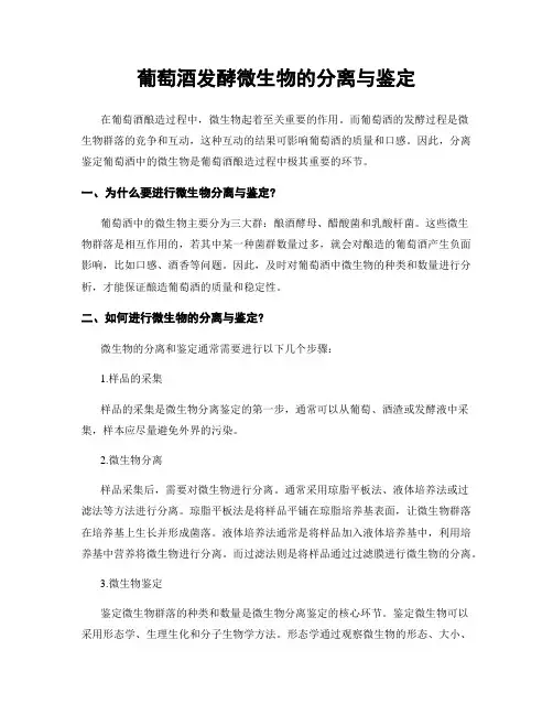 葡萄酒发酵微生物的分离与鉴定