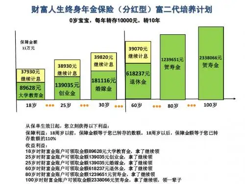 财富人生演示计划