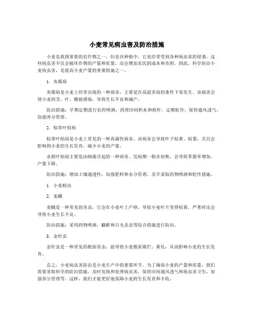 小麦常见病虫害及防治措施