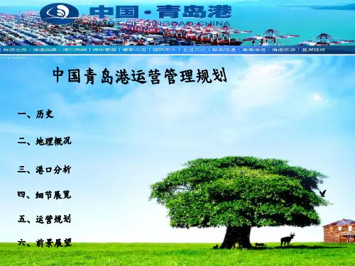 中国青岛港运营管理案例-PPT