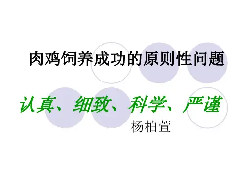 肉鸡饲养中的几个原则性问题