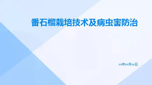 番石榴栽培技术及病虫害防治
