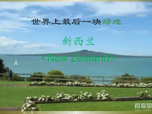 新西兰