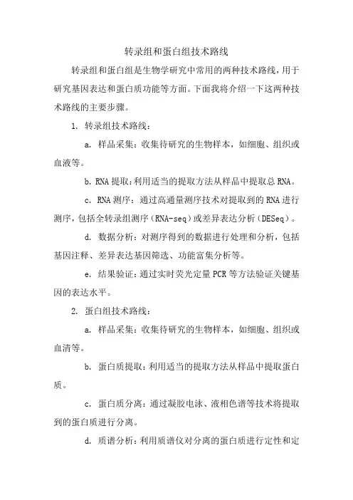 转录组和蛋白组技术路线