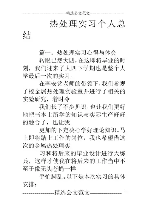 热处理实习个人总结