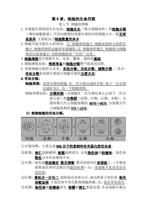 高中生物必修一第6章、细胞的生命历程知识总结