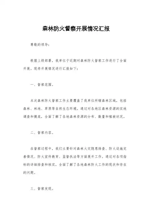 森林防火督察开展情况汇报