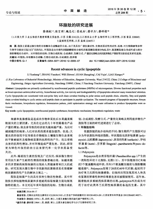 环脂肽的研究进展