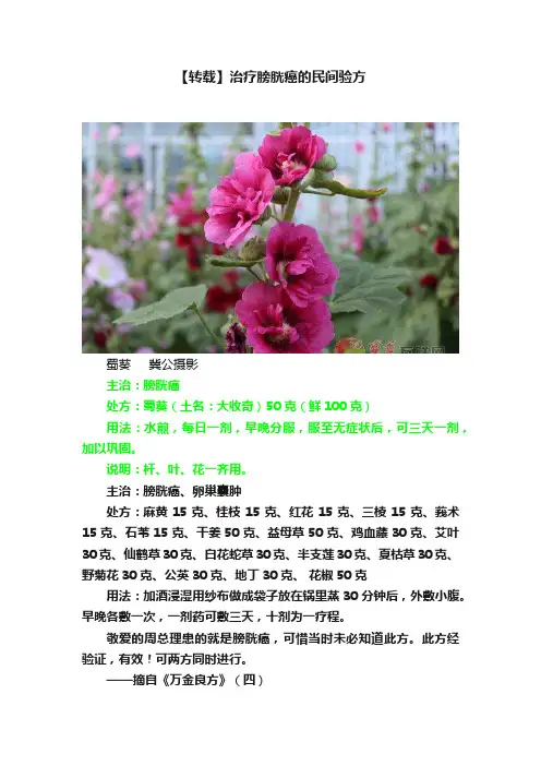【转载】治疗膀胱癌的民间验方