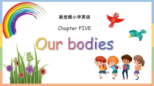 3B Chapter 5 Our bodies 课件(新思维小学英语)