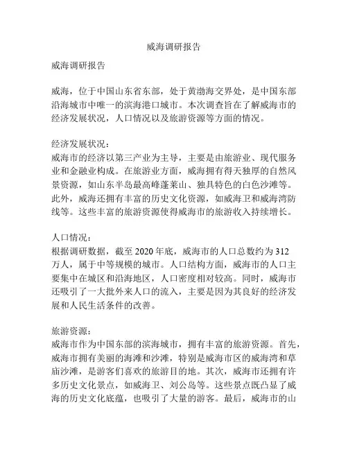 威海调研报告