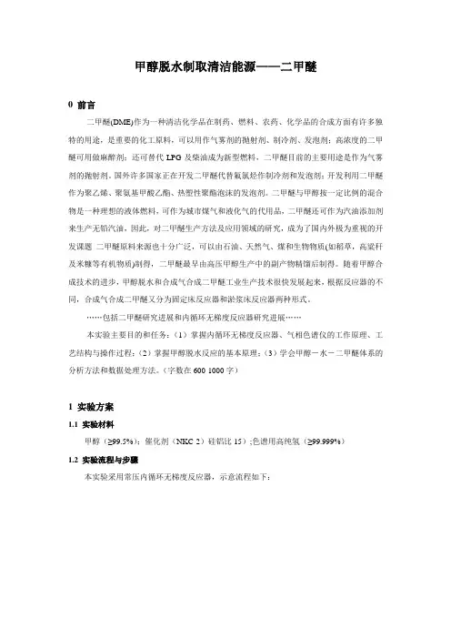 二甲醚专业实验报告1