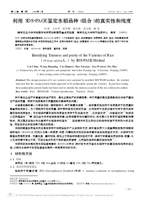 利用SDS_PAGE鉴定水稻品种组合的真实性和纯度