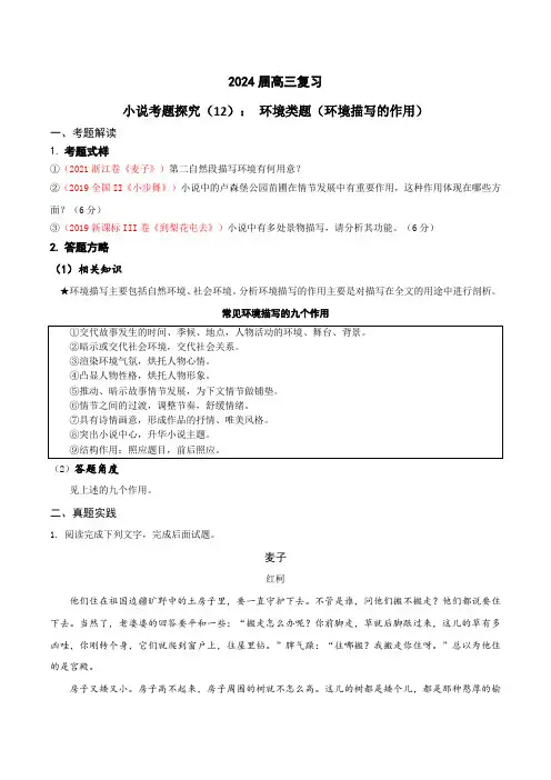 2024年高考语文一轮复习之小说文本考题探究12环境类题(环境描写作用)