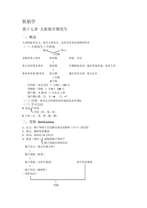 胚胎学重点知识