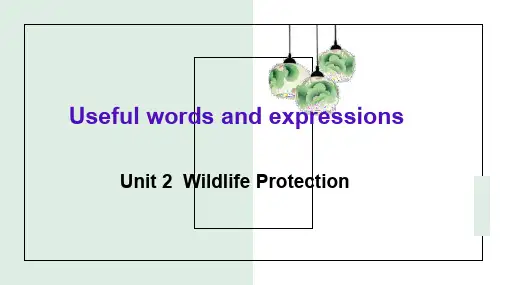 高中英语人教版2019必修二unit2wildlife protection单词讲解
