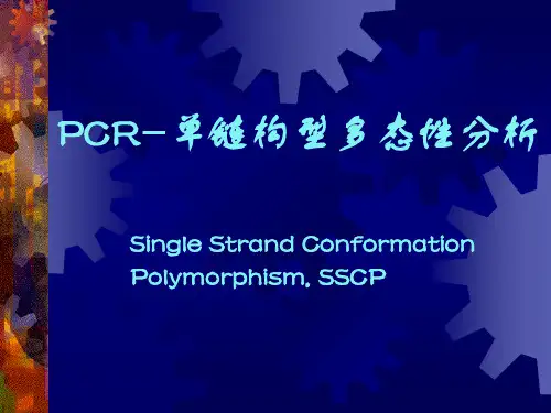 PCR-单链构型多态性分析