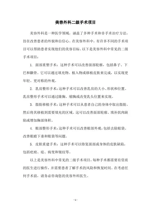 美容外科二级手术项目