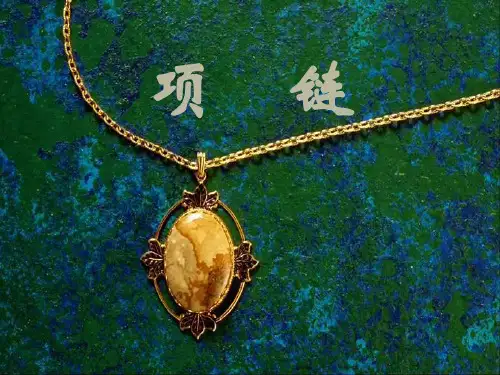 《项链》PPT教学课件