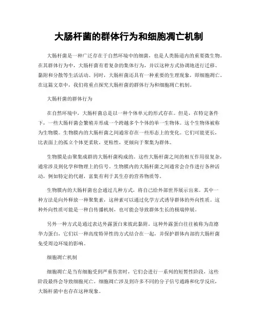 大肠杆菌的群体行为和细胞凋亡机制