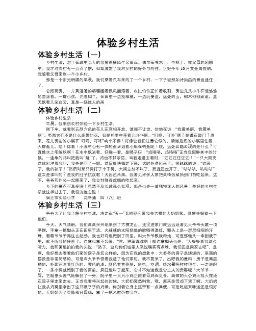 体验乡村生活作文共九篇