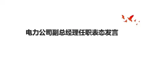 电力公司副总经理任职表态发言