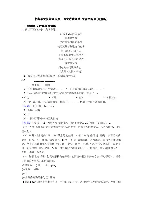 中考语文易错题专题三语文诗歌鉴赏+文言文阅读(含解析)