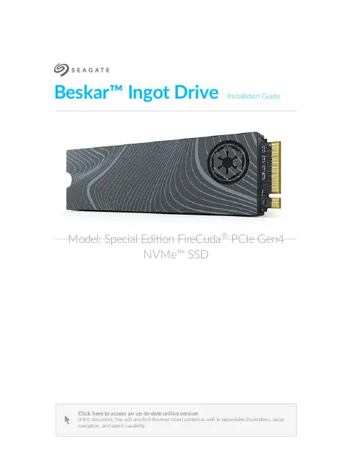 毕加索核矿石驱动NVMe SSD安装指南说明书
