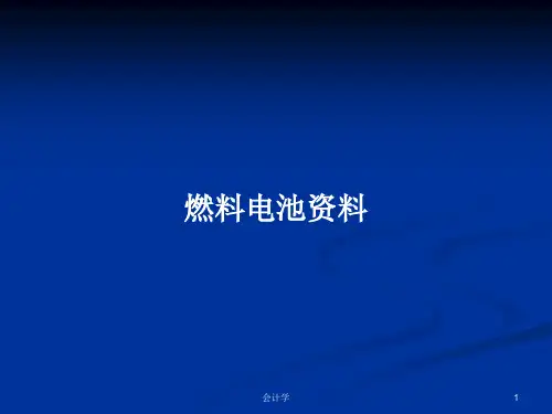 燃料电池资料PPT学习教案