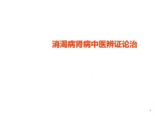 消渴肾病中医辨证论治ppt课件