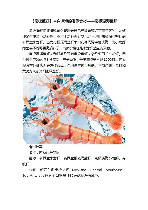 【南极螯虾】来自深海的奢侈食材——南极深海螯虾