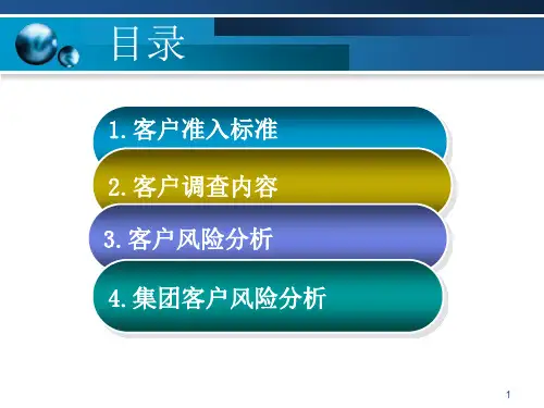 最新商业银行授信客户准入与风险分析PPT课件