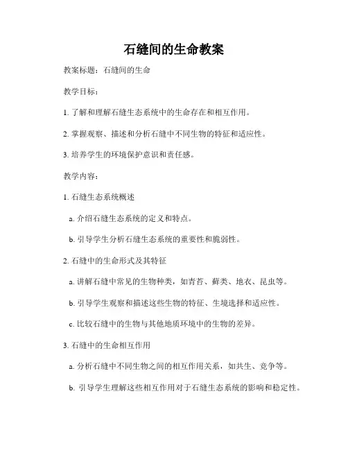 石缝间的生命教案