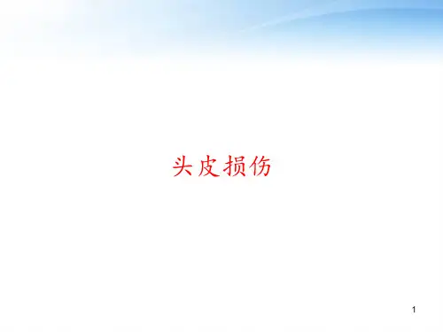 头皮损伤 ppt课件