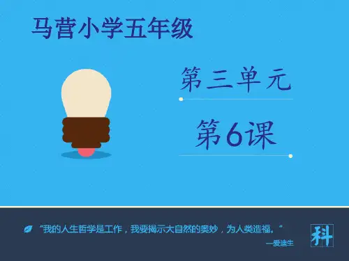 摆的研究