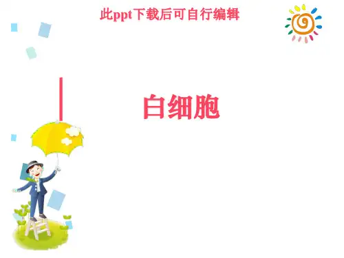 白细胞ppt课件