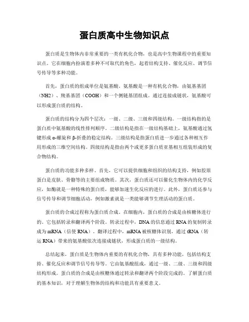 蛋白质高中生物知识点