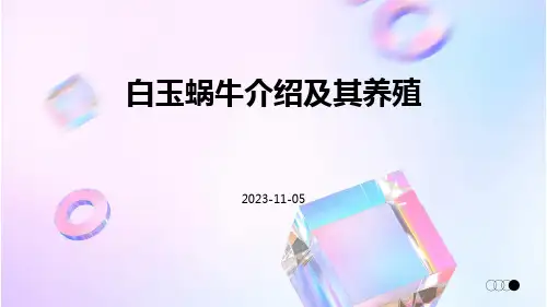 白玉蜗牛介绍及其养殖