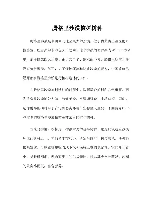 腾格里沙漠植树树种