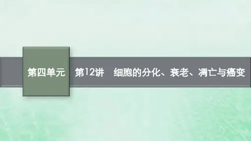 适用于老高考旧教材2024版高考生物一轮总复习第四单元细胞的生命历程第12讲细胞的分化衰老凋亡与癌变