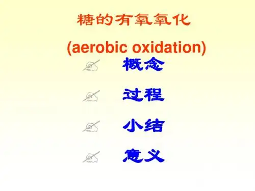 糖的有氧氧化
