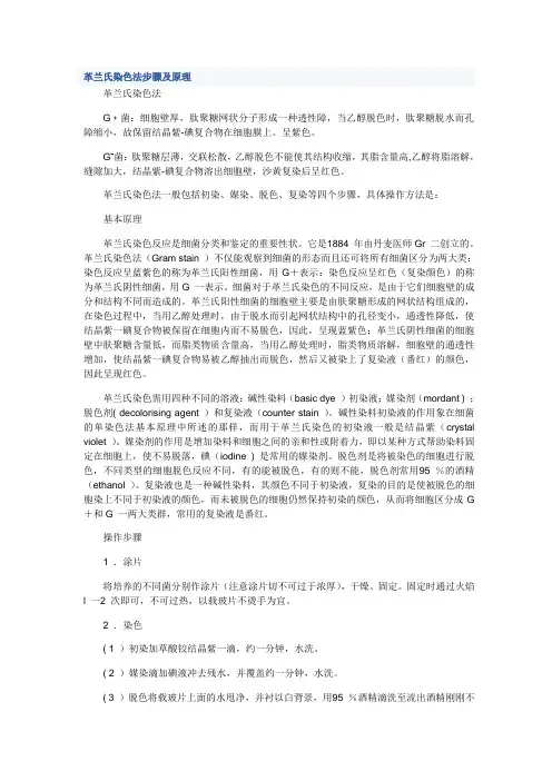 革兰氏染色法