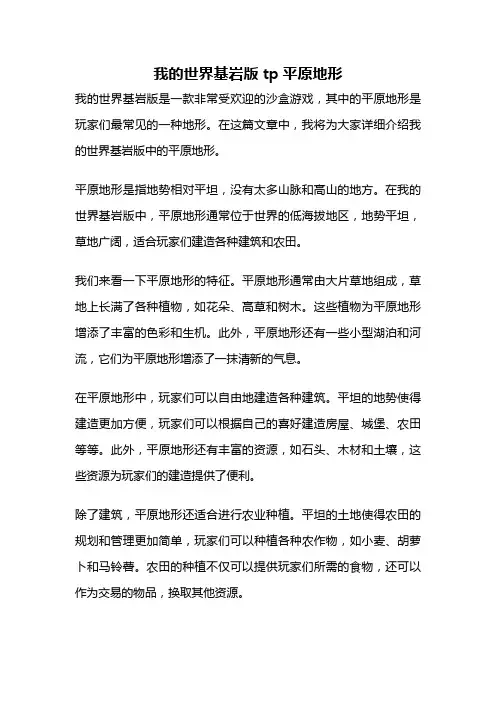 我的世界基岩版tp平原地形