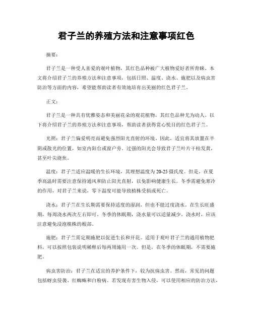 君子兰的养殖方法和注意事项红色