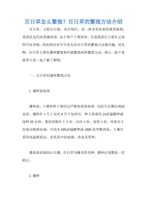 百日草怎么繁殖？百日草的繁殖方法介绍