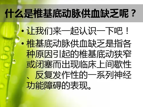 椎基底动脉供血不足PPT课件