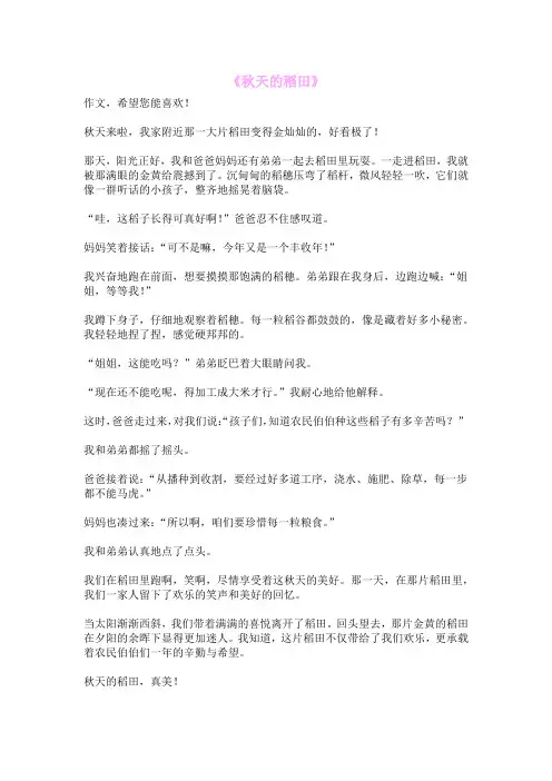 《秋天的稻田》