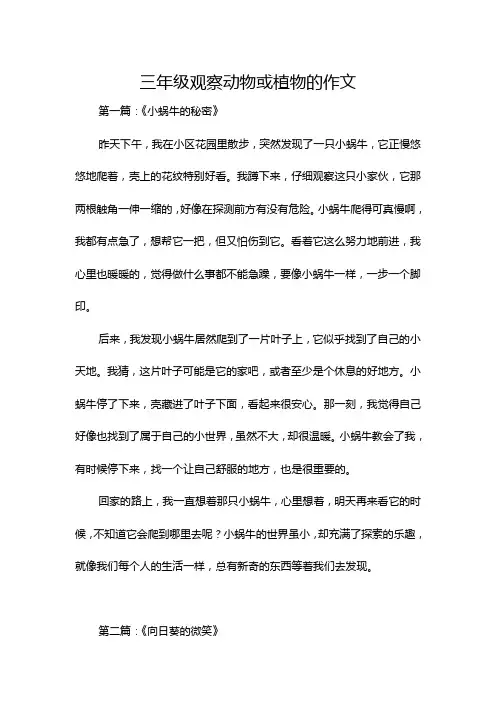 三年级观察动物或植物的作文